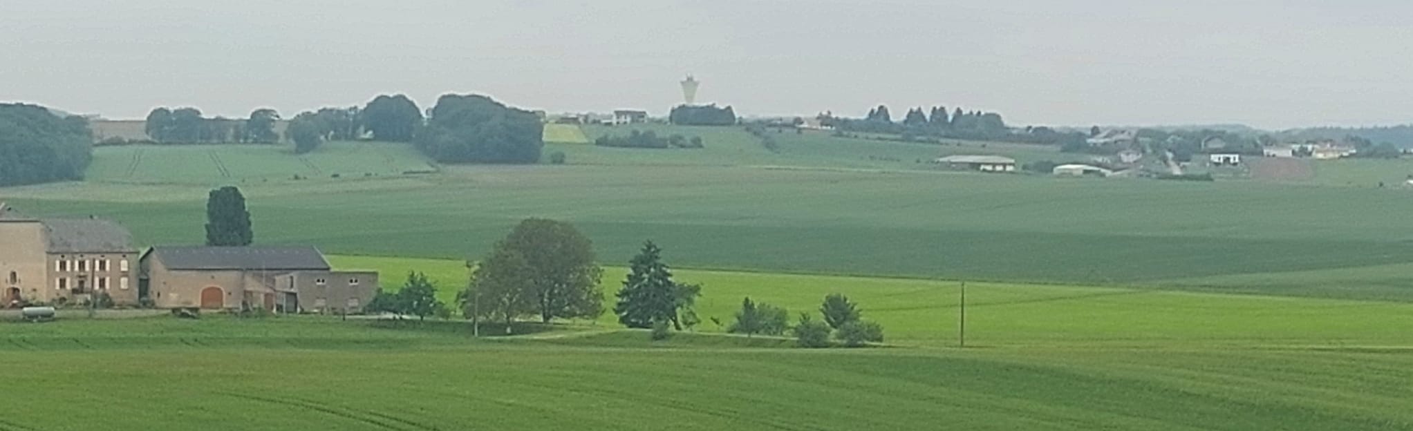 Zoufftgen circuit 12 Reviews, Map Moselle, France AllTrails