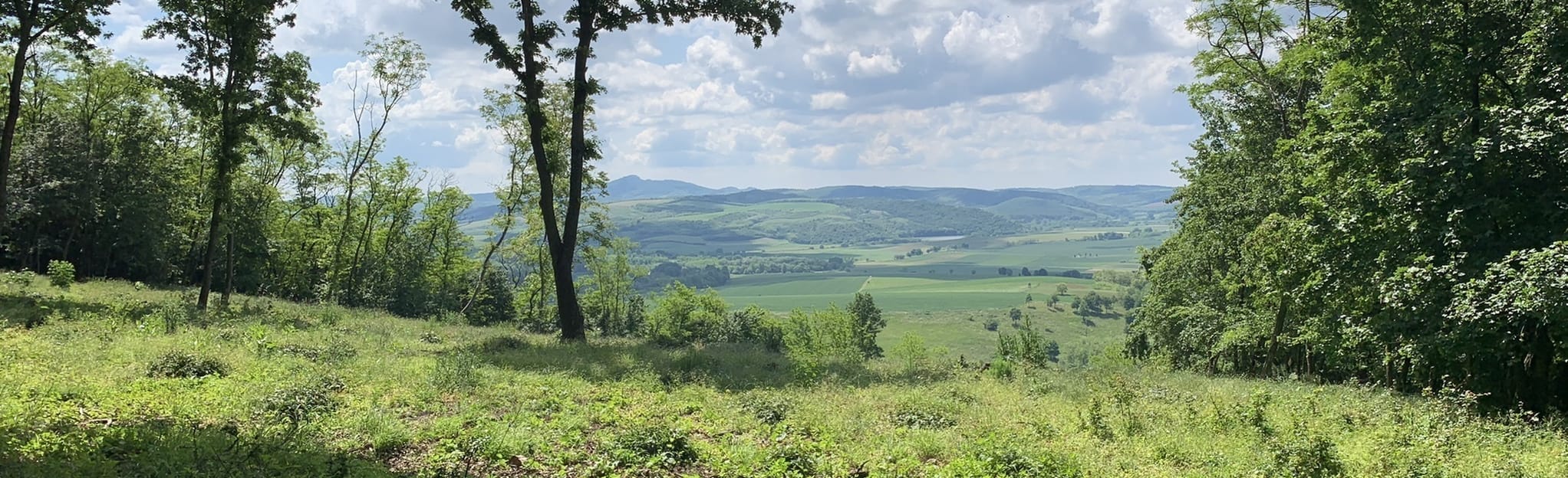 Nagyoroszi Herencsény, Nógrád, Hungary Map, Guide AllTrails