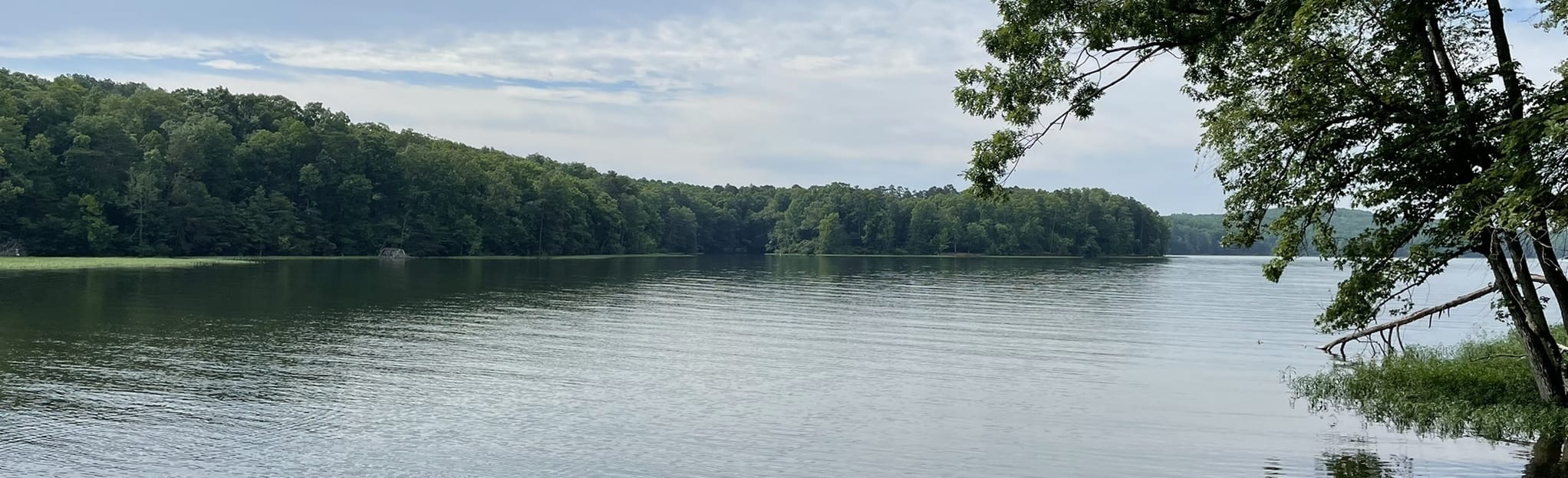 Kings Mountain Point Trail 30 Reviews, Map North Carolina AllTrails