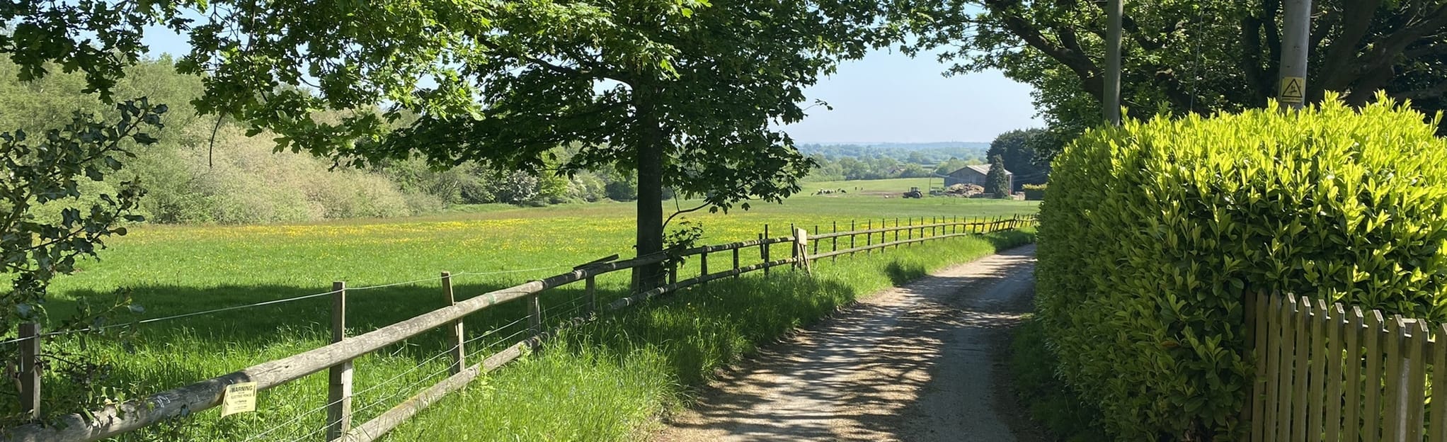 Mill Green Circular 66 foto's Essex, Engeland Wandelen AllTrails