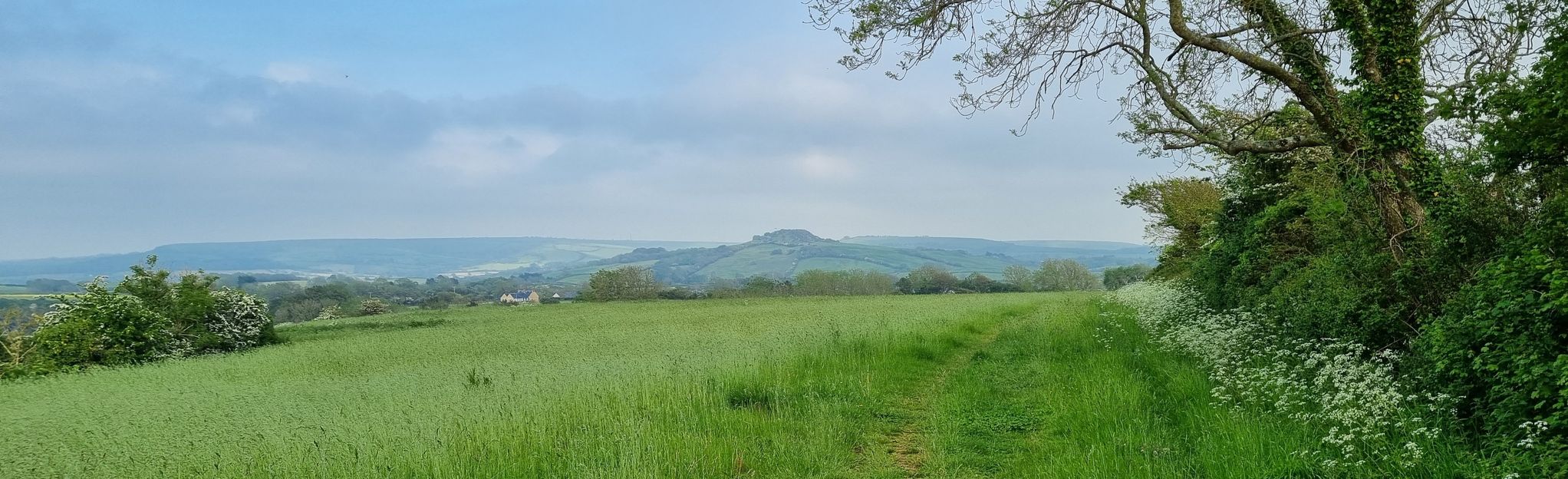 bridport-and-walditch-loop-37-reviews-map-dorset-england-alltrails