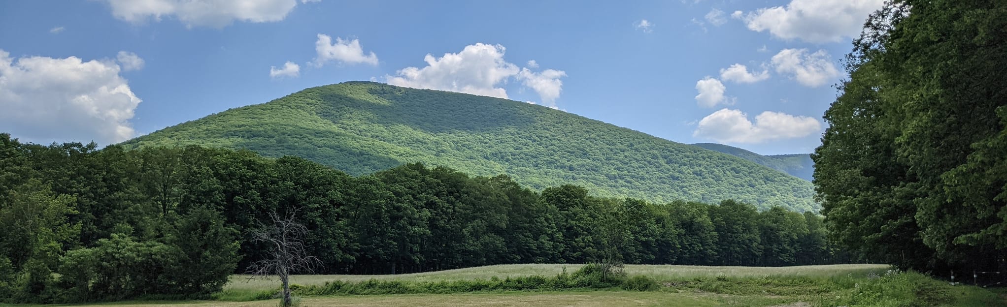 The Hopper Trail 200 Reviews, Map Massachusetts AllTrails