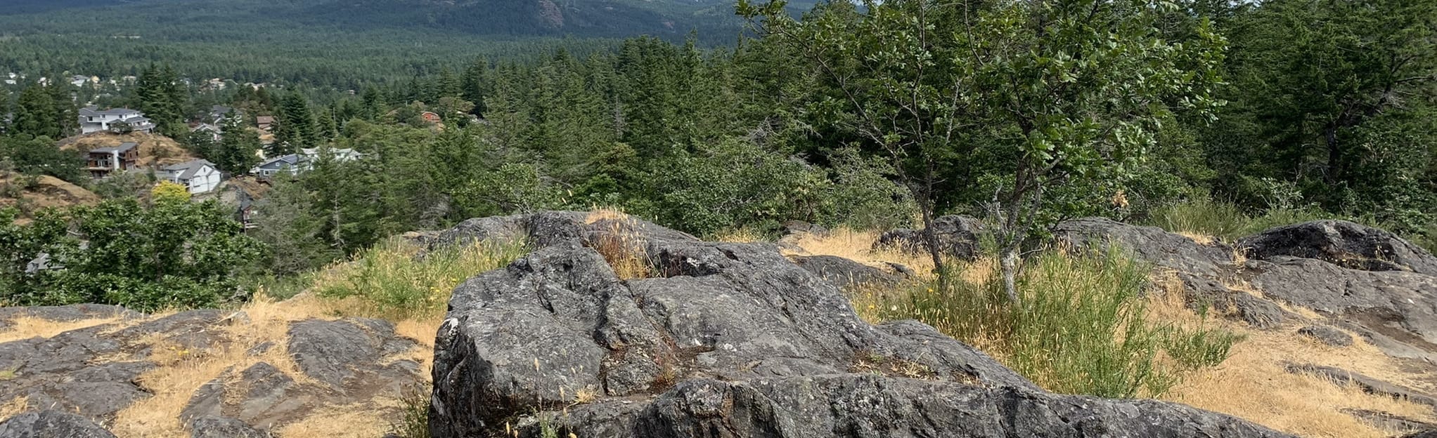 Mill Hill Regional Park (Extended Loop), British Columbia, Canada 55