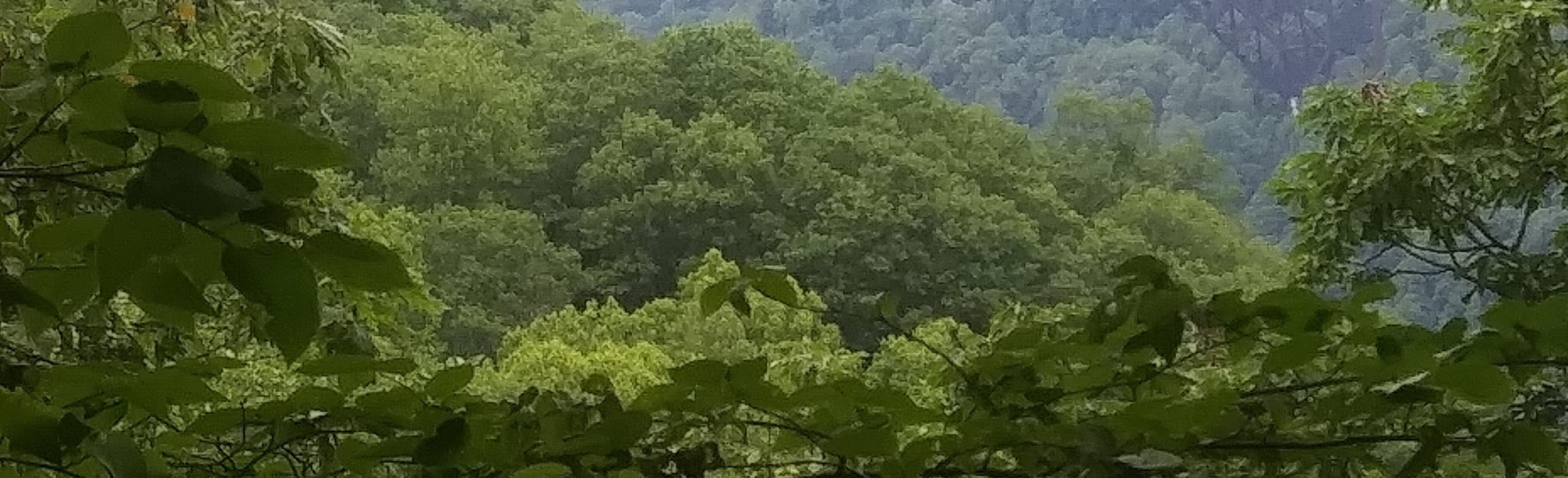 Junkyard Access Trail, West Virginia 9 Reviews, Map AllTrails