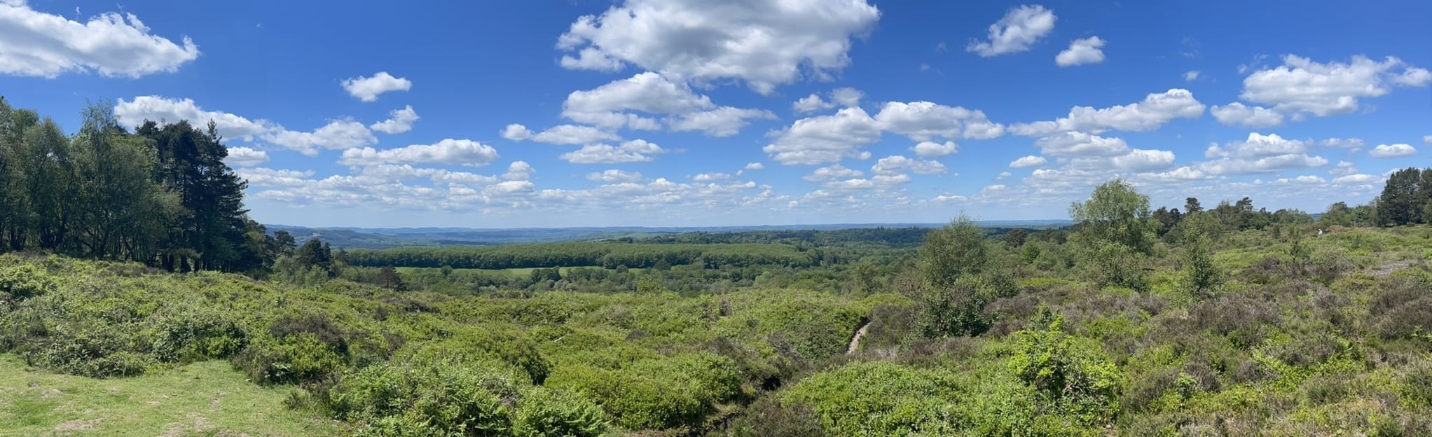 Haslemere, Dial Green and Kingsley Green Circular, Surrey, England 81