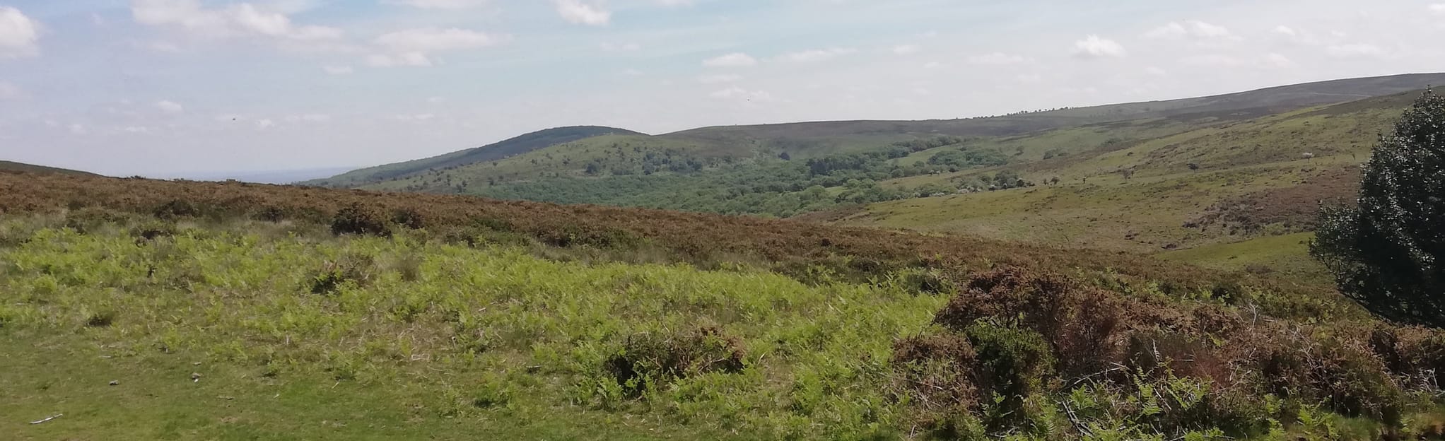 Hodder's Combe, Bicknoller Post and Beacon Hill Circular Somerset