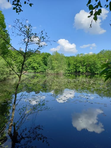 Fliegenbergtour Troisdorf