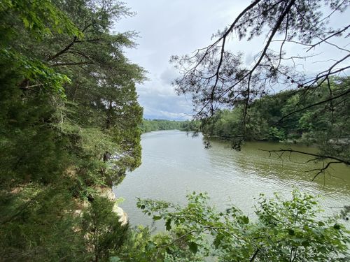 Escape to Kentucky Lake Malone State Park: Your Gateway to Natural Beauty and Adventure