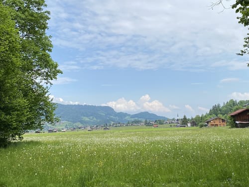 Via Alpina Roter Weg, Etappe 51:  Oberstdorf - Mindelheimerhütte [CLOSED]
