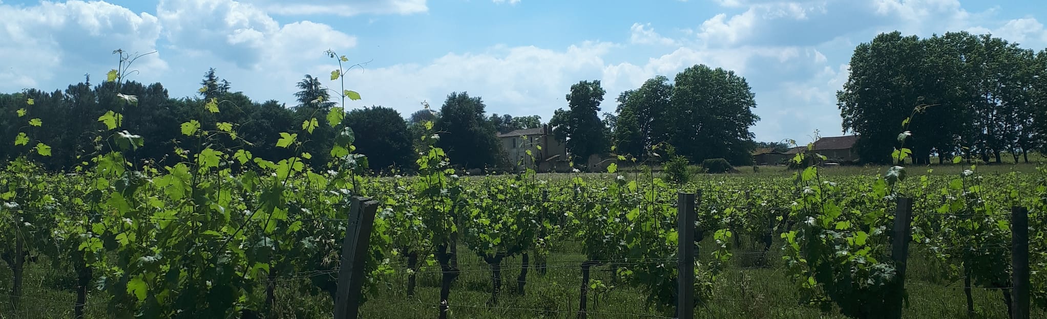 Châteaux autour de Montussan Gironde, France AllTrails