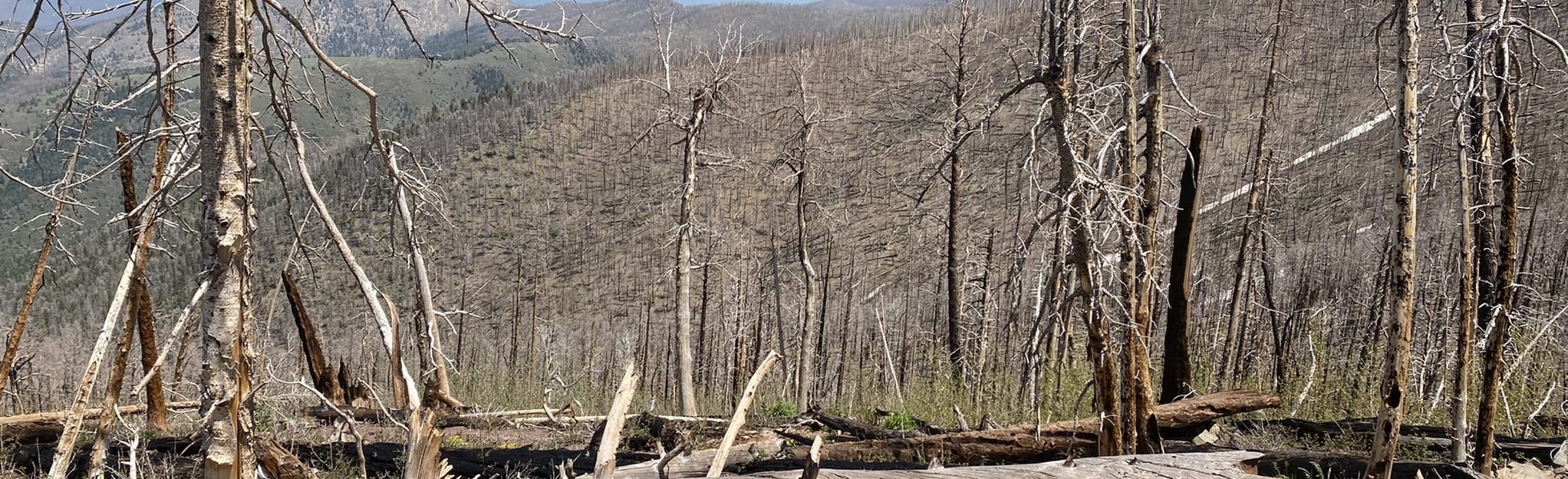 Hayden Pass OHV Trail 7 Reviews, Map Colorado AllTrails