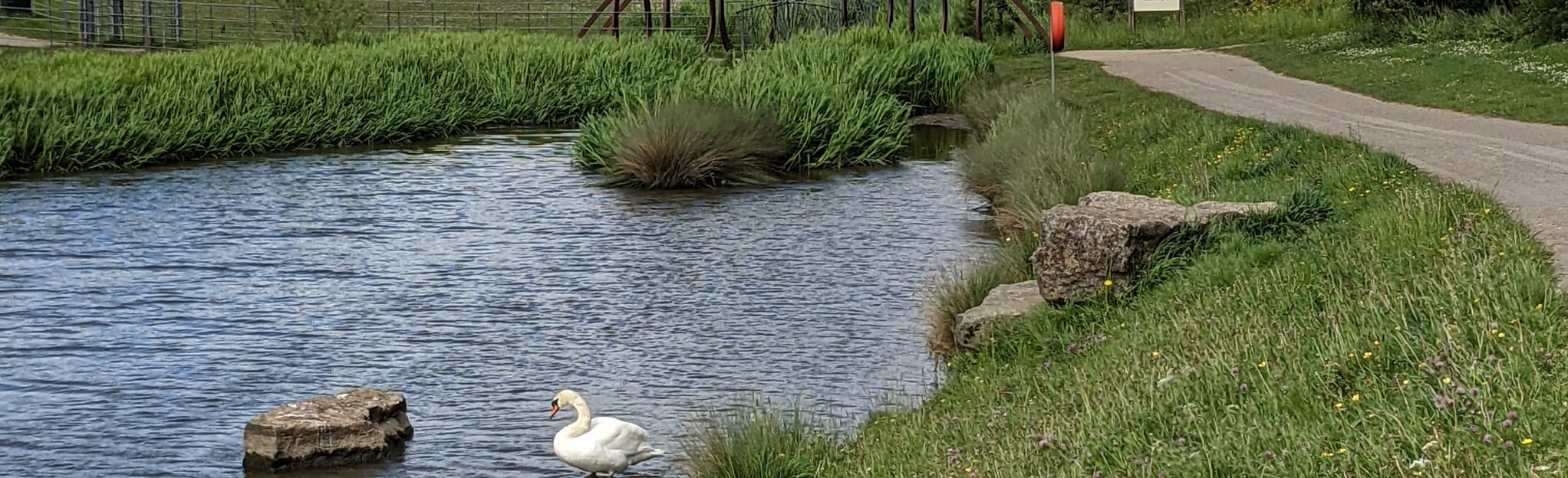 Herrington Country Park Circular, Tyne and Wear, England 118 Reviews