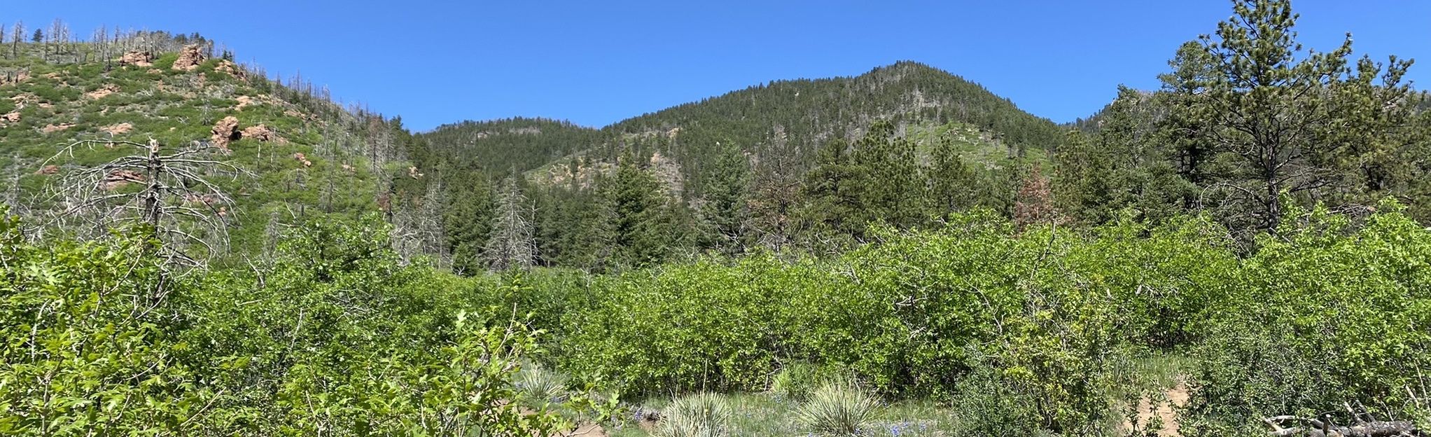 Ormes Peak via Blodgett Open Space 709 Fotos Colorado AllTrails