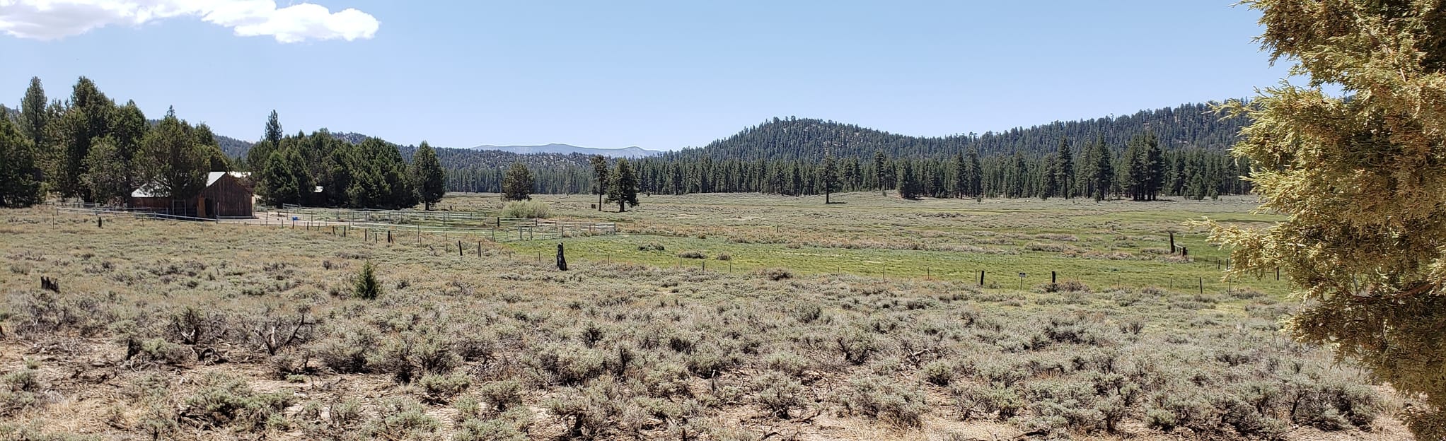 Juniper Flats to Big Bear OHV Road 13 Reviews, Map California