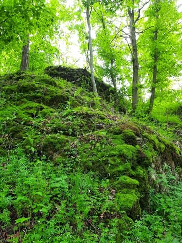 Burg Niesten und Eselsloch über den Felsensteig