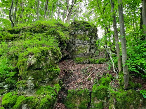 Burg Niesten und Eselsloch über den Felsensteig