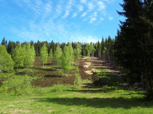 Göltzschtal Rundweg