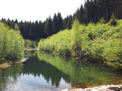 Göltzschtal Rundweg