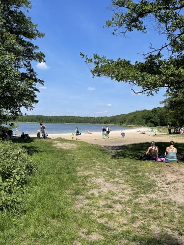 Um den Gorinsee