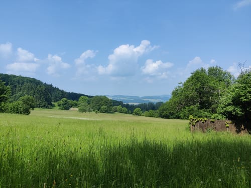Neunkircher Höhe via Neunkirchen