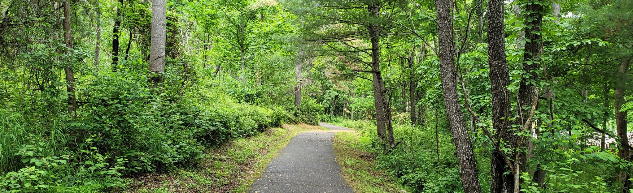 Poplar Leaf Claytor Lake Hidden Valley Loop 103 Reviews, Map