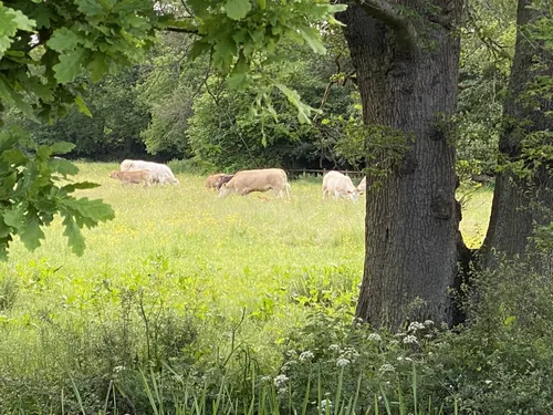 Best Hikes and Trails in Sandhurst Memorial Park | AllTrails