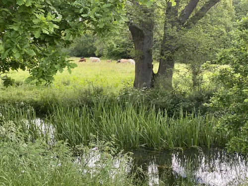 Best Hikes and Trails in Sandhurst Memorial Park | AllTrails