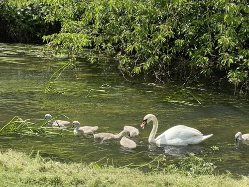 Best Hikes and Trails in Sandhurst Memorial Park | AllTrails