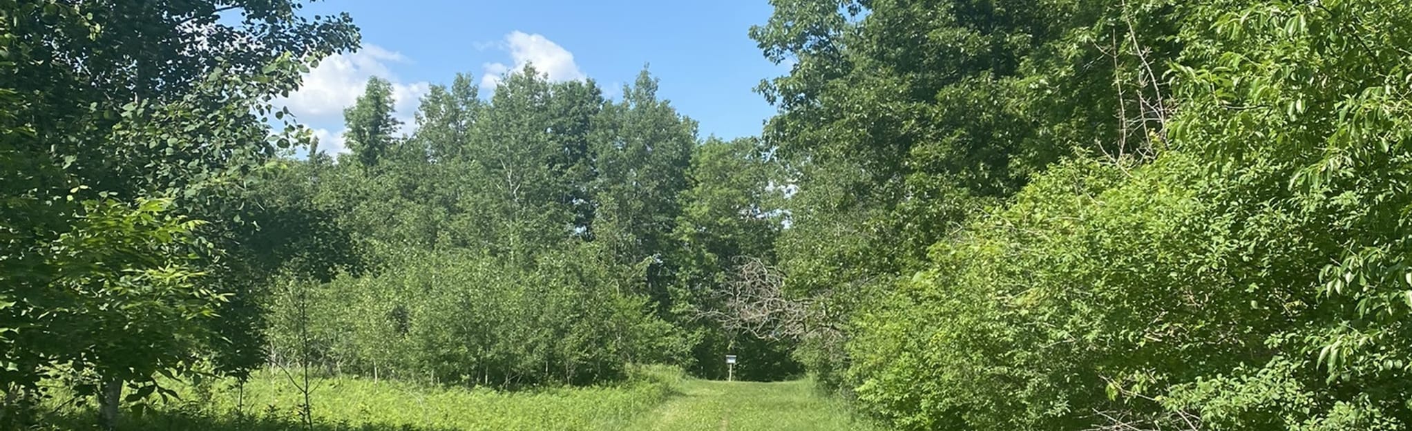 Red Wing Memorial Park Loop, Minnesota 132 Reviews, Map AllTrails