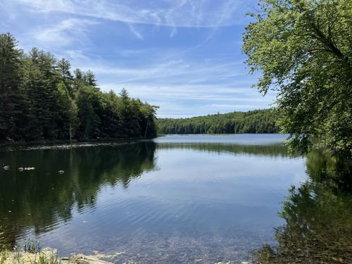 Best 10 Hikes And Trails In Moreau Lake State Park Alltrails