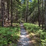 Eliot Mountain Trail, Maine - 173 Reviews, Map 