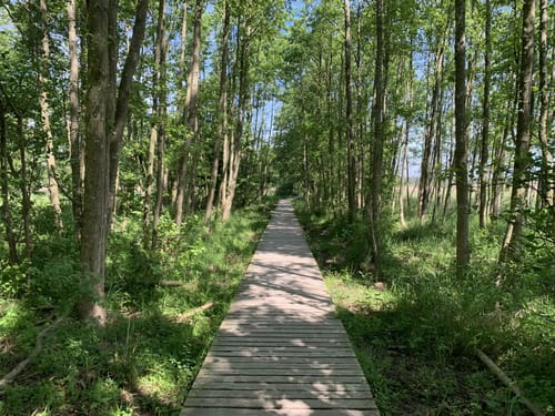 Darßer Ort ab Prerow