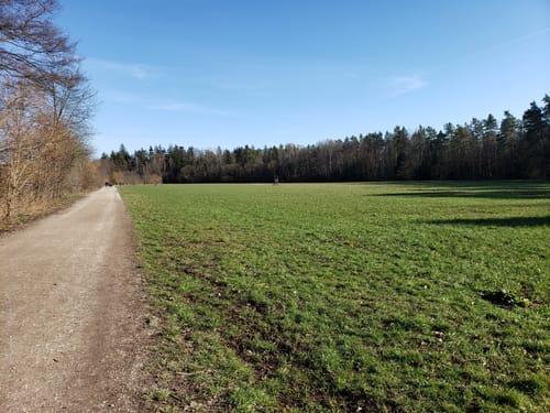 Valznerweiher im Lorenzer Reichswald