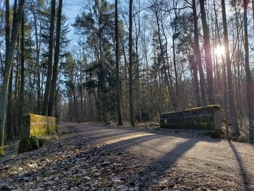Valznerweiher im Lorenzer Reichswald