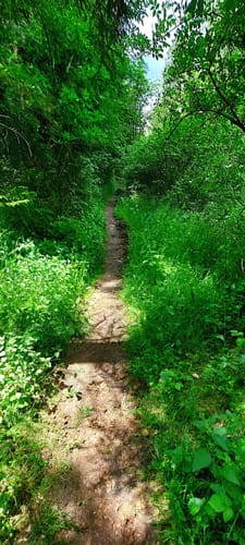 Hirschauer Turmweg