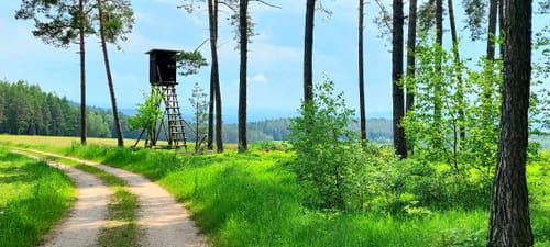 Hirschauer Turmweg