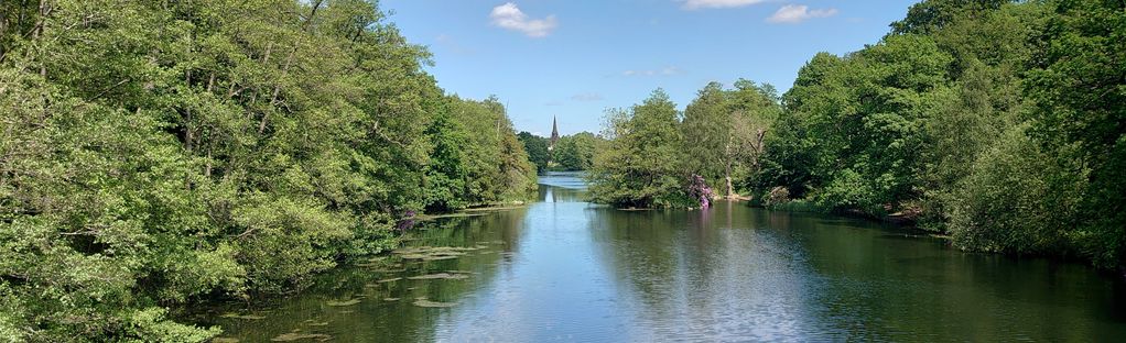 can dogs go off lead at clumber park