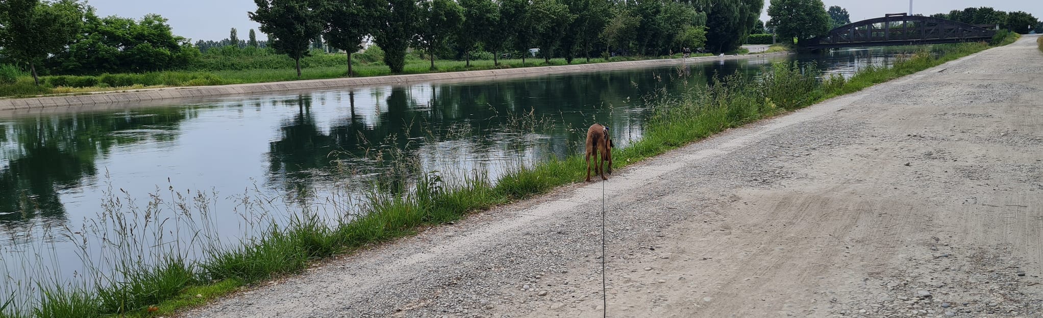 Mediglia Lodi, Lombardy, Italy 3 Reviews, Map AllTrails