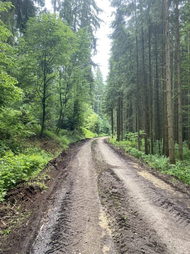 Rundweg Riedenburg 13 - große Jachenhausener Runde