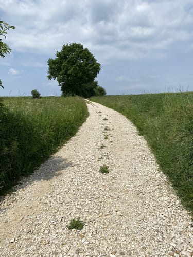 Rundweg Riedenburg 13 - große Jachenhausener Runde