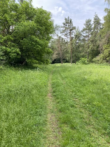 Rundweg Riedenburg 13 - große Jachenhausener Runde