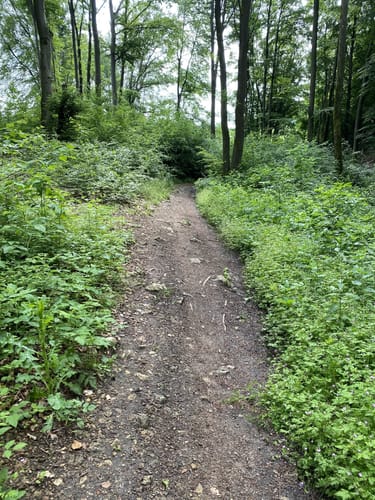 Rundweg Riedenburg 13 - große Jachenhausener Runde