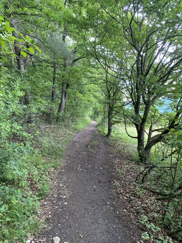 Rundweg Riedenburg 13 - große Jachenhausener Runde