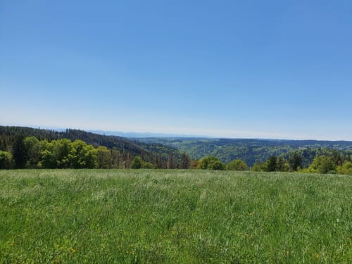 Schinkenweg in Höchenschwand