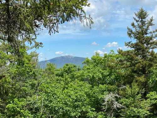 Best hikes and trails in Rhododendron State Park | AllTrails