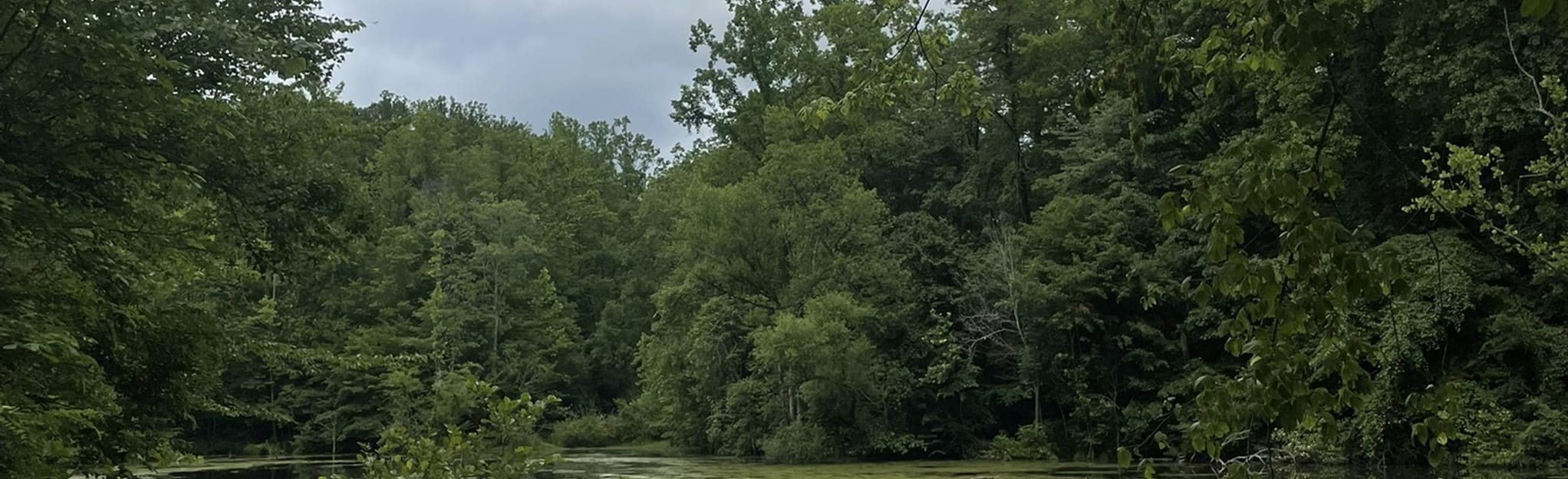 Doe Run Park, Virginia 22 Reviews, Map AllTrails