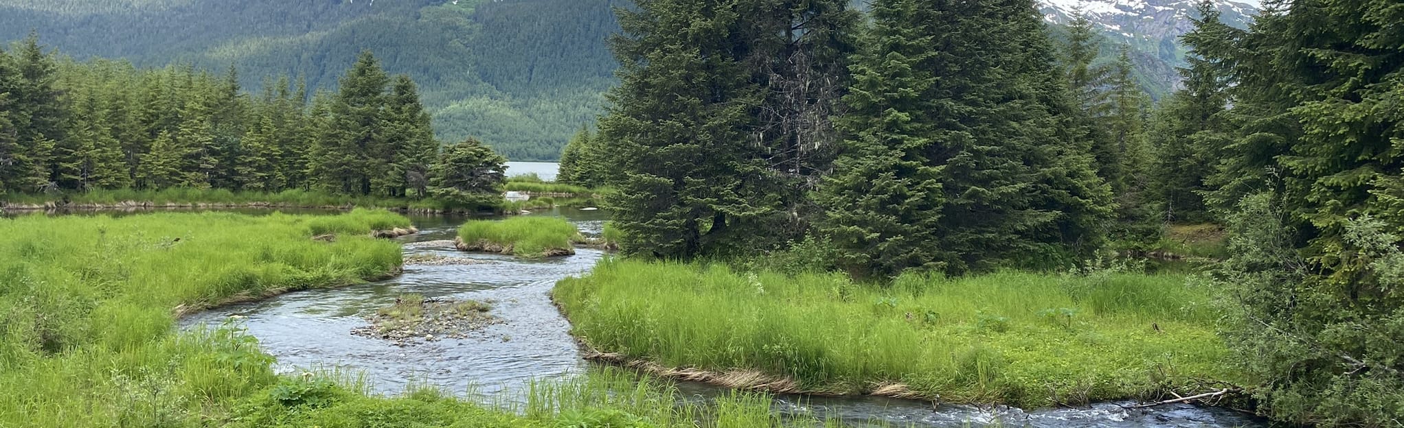 Steep Creek Trail, Alaska 45 Reviews, Map AllTrails
