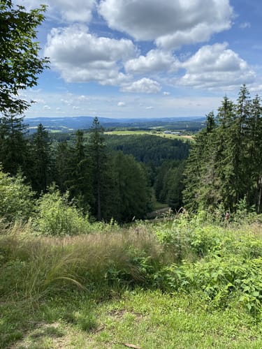 Panorama-Weg DÖ 37