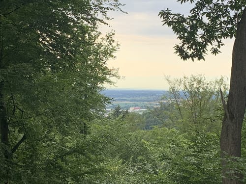 Rundwanderweg Weinheim Raubschloss 3: Exotenwald-Weg