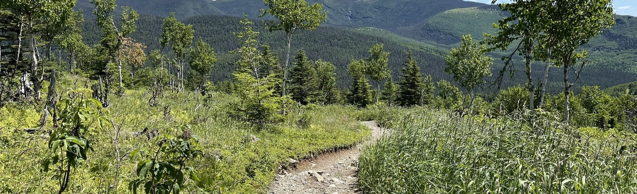 Mount Ernest Laforce Trail 660 Reviews, Map Quebec, Canada AllTrails